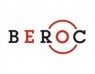 BEROC issues policy paper “Macroeconomic Performance and Preferences for Democracy”