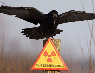 After 30 years Belarus hasn’t yet made sense of Chernobyl